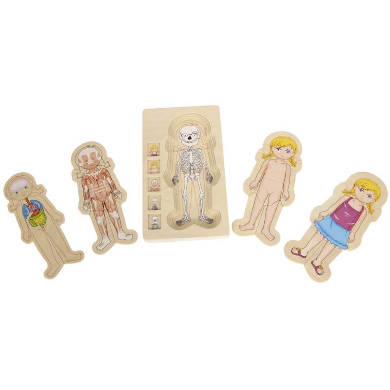 houten puzzel small foot smallfoot legpuzzel lagenpuzzel kleuter peuter menselijk lichaam skelet spieren bloedvaten kleding biologie leggen hout spelen spelend leren puzzelen