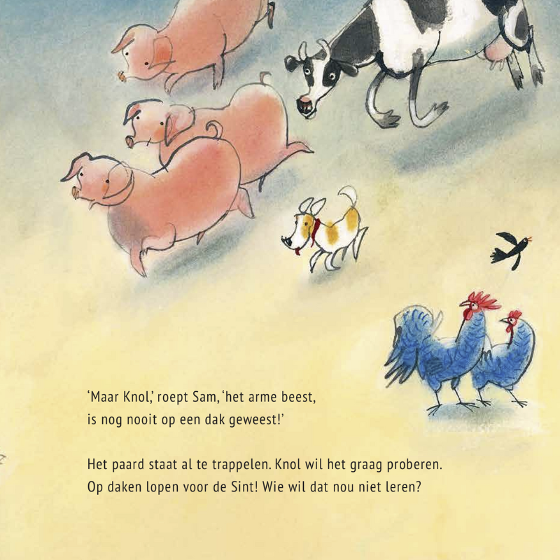 Boer Boris, een paard voor Sinterklaas - Ted van Lieshout, Philip Hopman