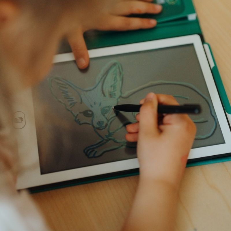 Kidywolf KIDYDRAW-MINI tekenbord tablet - Animals around the world - wilde dieren