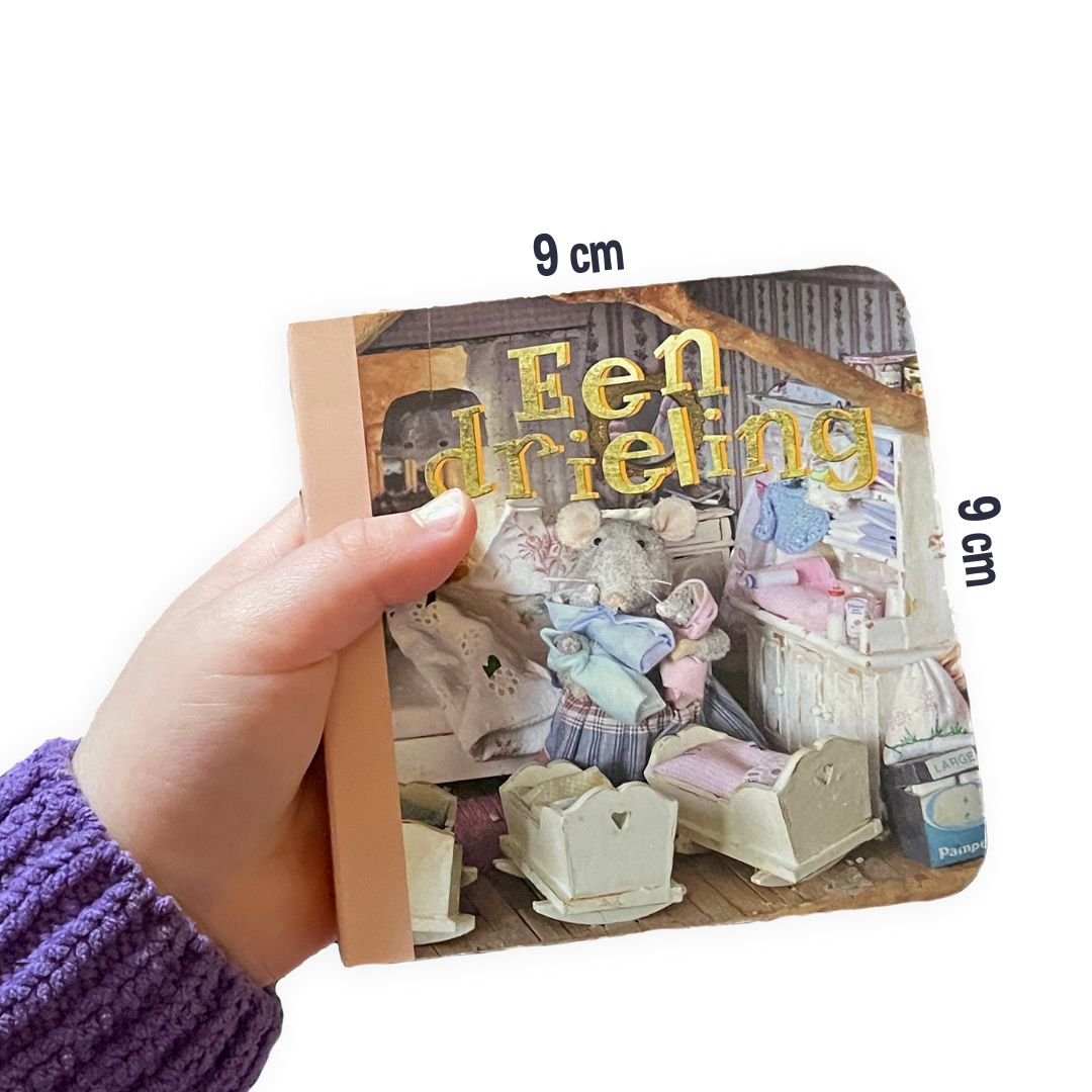 Boekenset in bewaarbox - Het Muizenhuis - Het Muizenhuis - Spelen