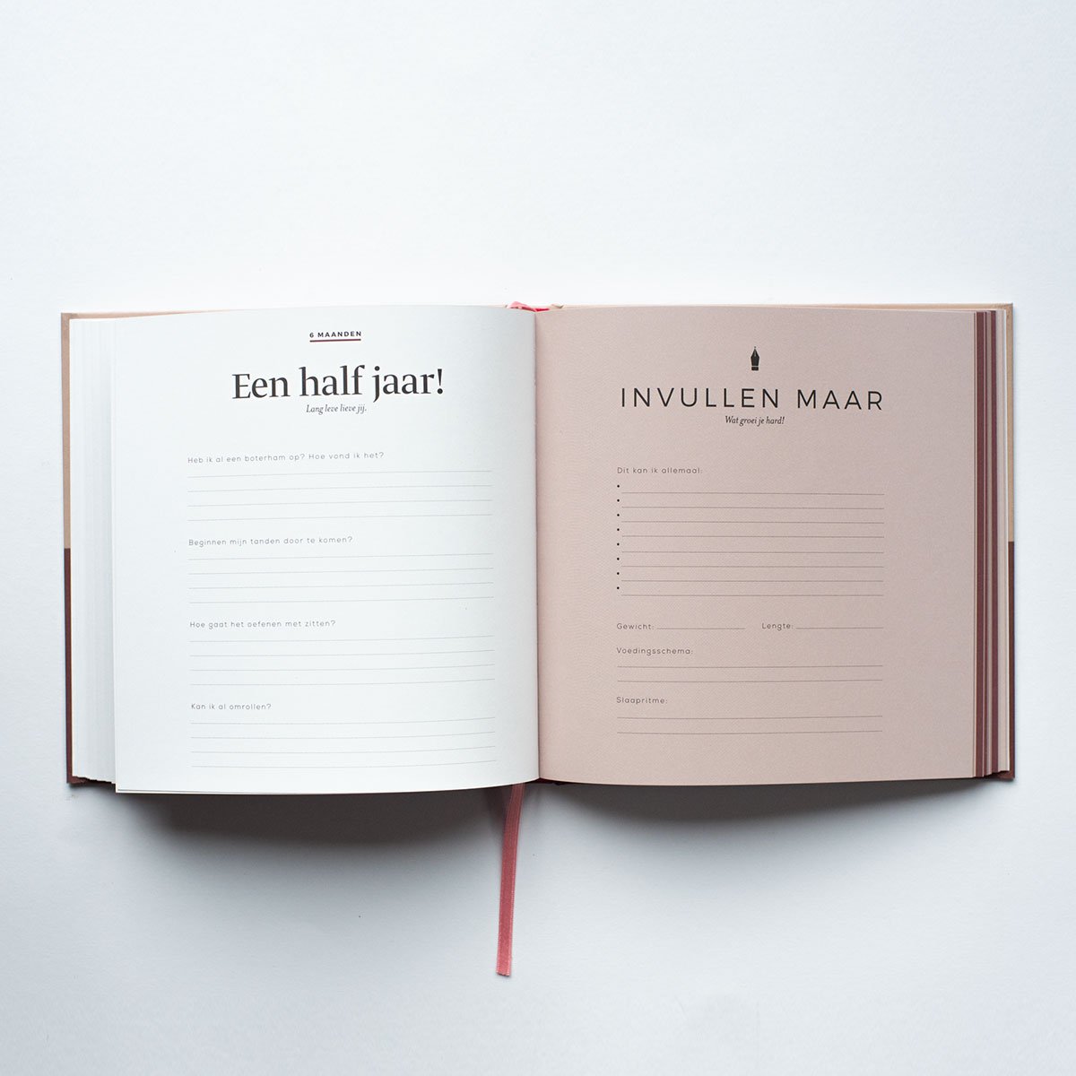 Leukigheidjes Eerste jaar invulboek - Roze/Bordeaux