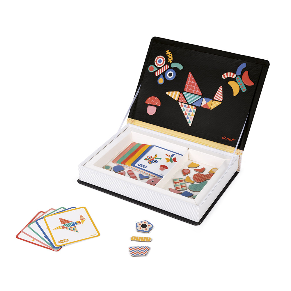 Janod - Magnetibook Moduloform