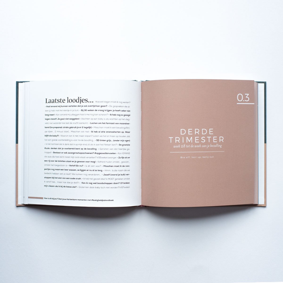 Leukigheidjes - Zwangerschapsinvulboek Groen/Roze