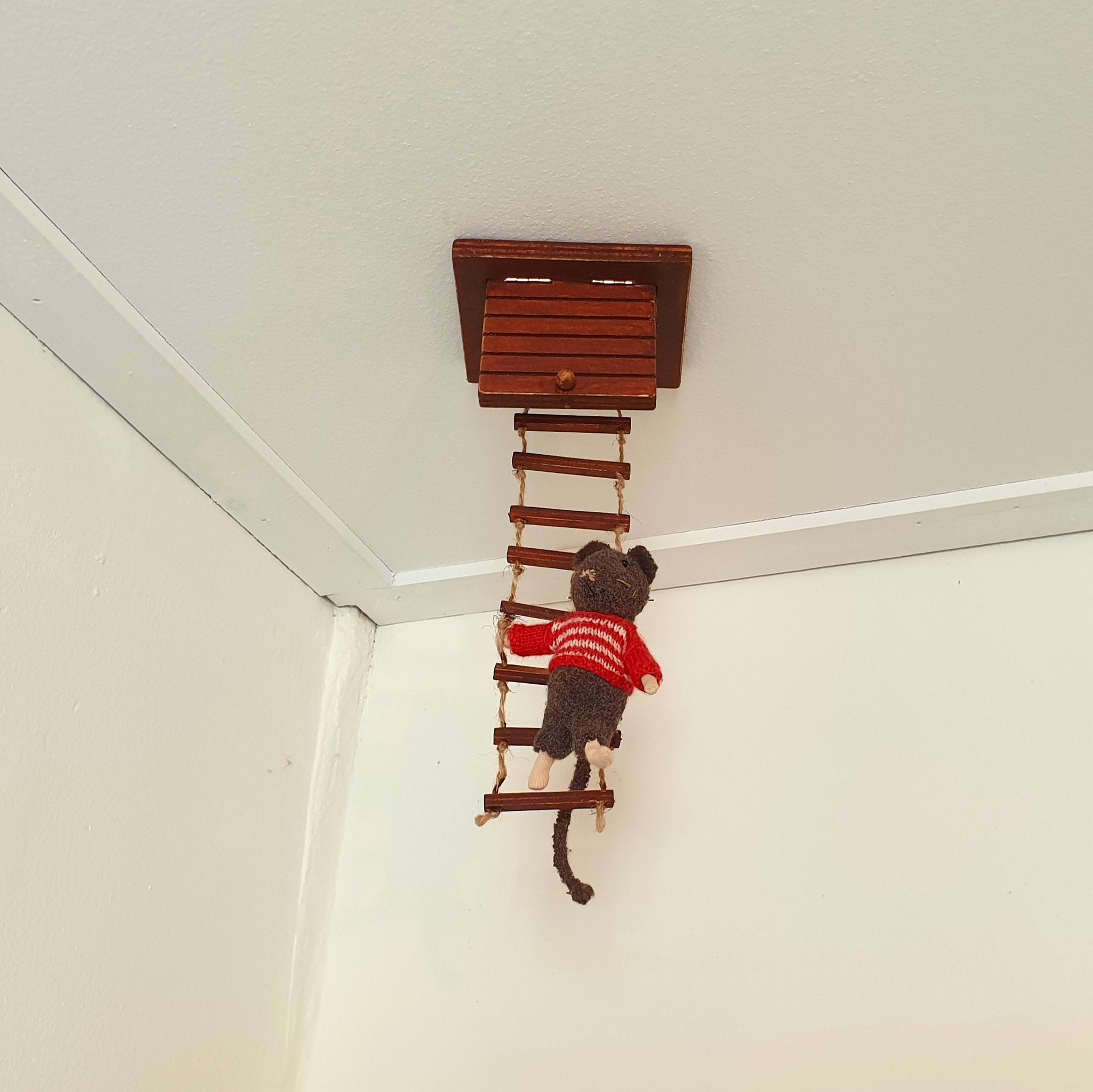 Het Muizenhuis - MuizenLuikje van hout met ladder