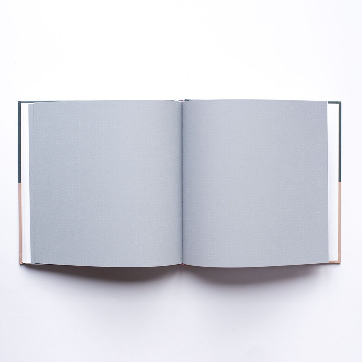 Leukigheidjes - Zwangerschapsinvulboek Groen/Roze