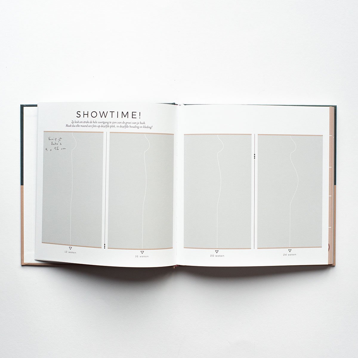 Leukigheidjes - Zwangerschapsinvulboek Groen/Roze