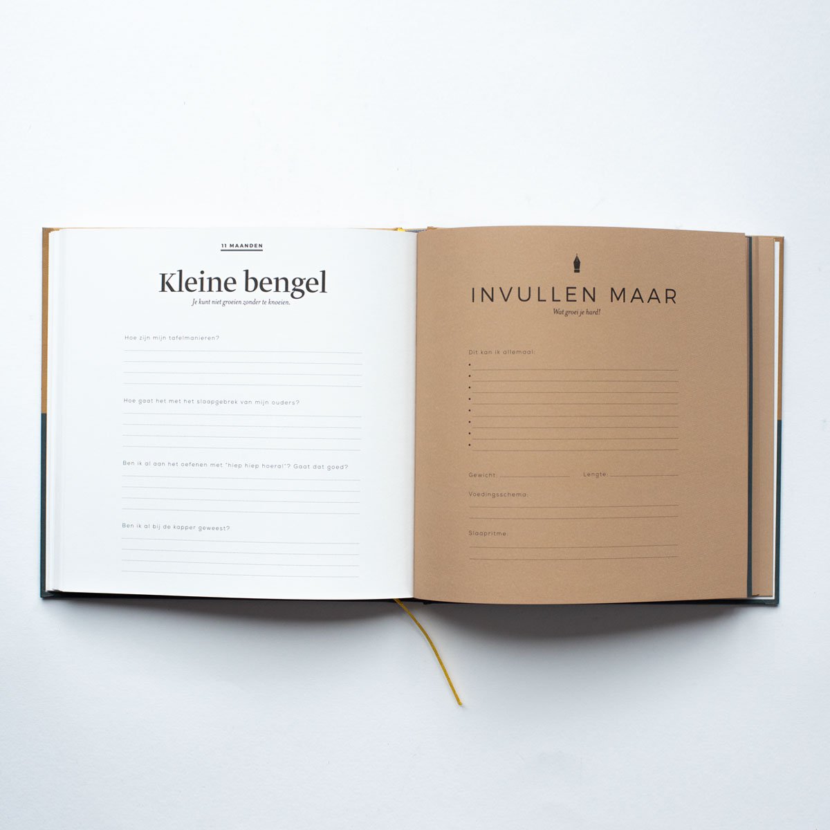 Leukigheidjes Eerste jaar invulboek - Groen/Oker