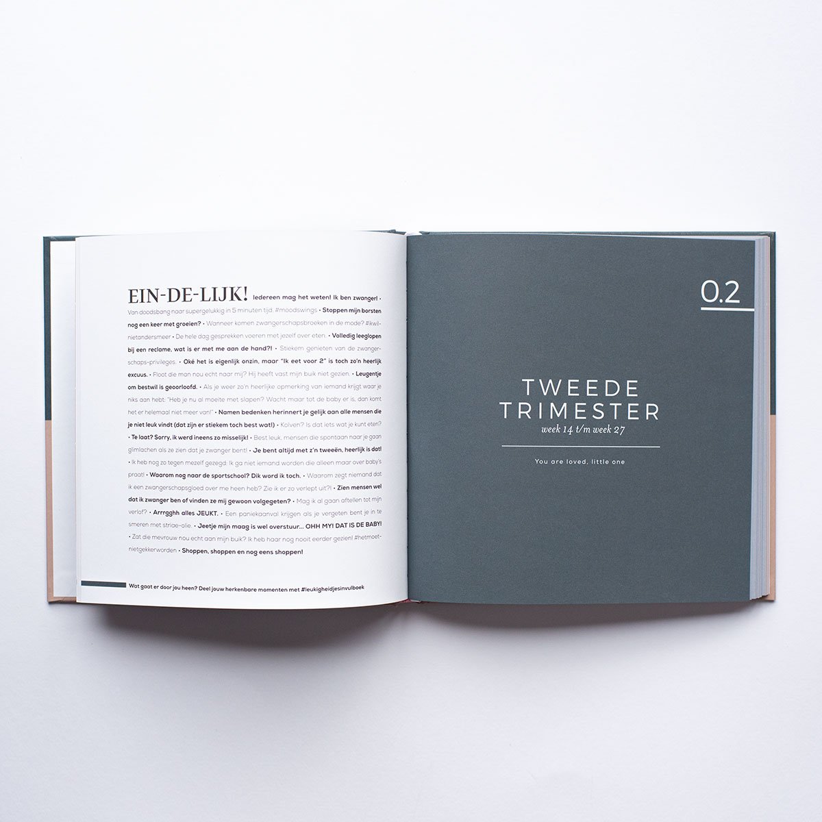 Leukigheidjes - Zwangerschapsinvulboek Groen/Roze